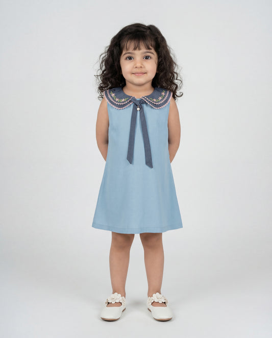 Denim dress with hand embriodery