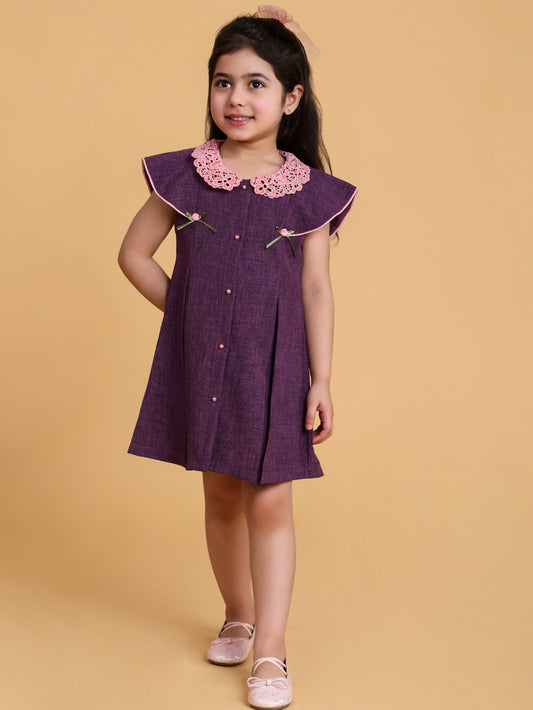 Plum Dress with fancy collar