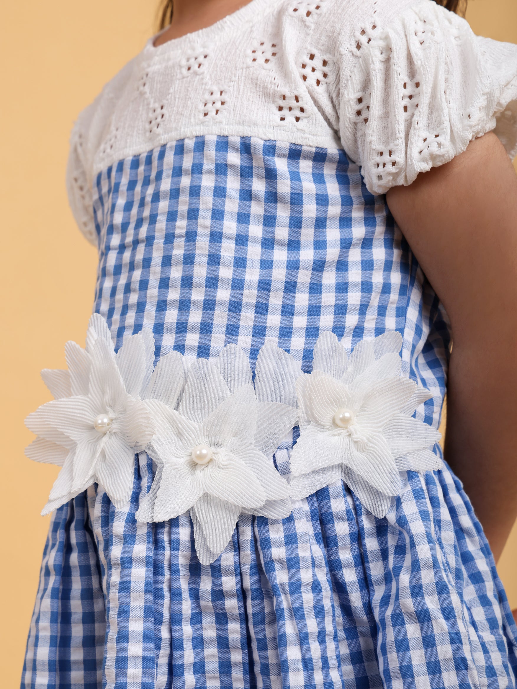 Blue and white check dress