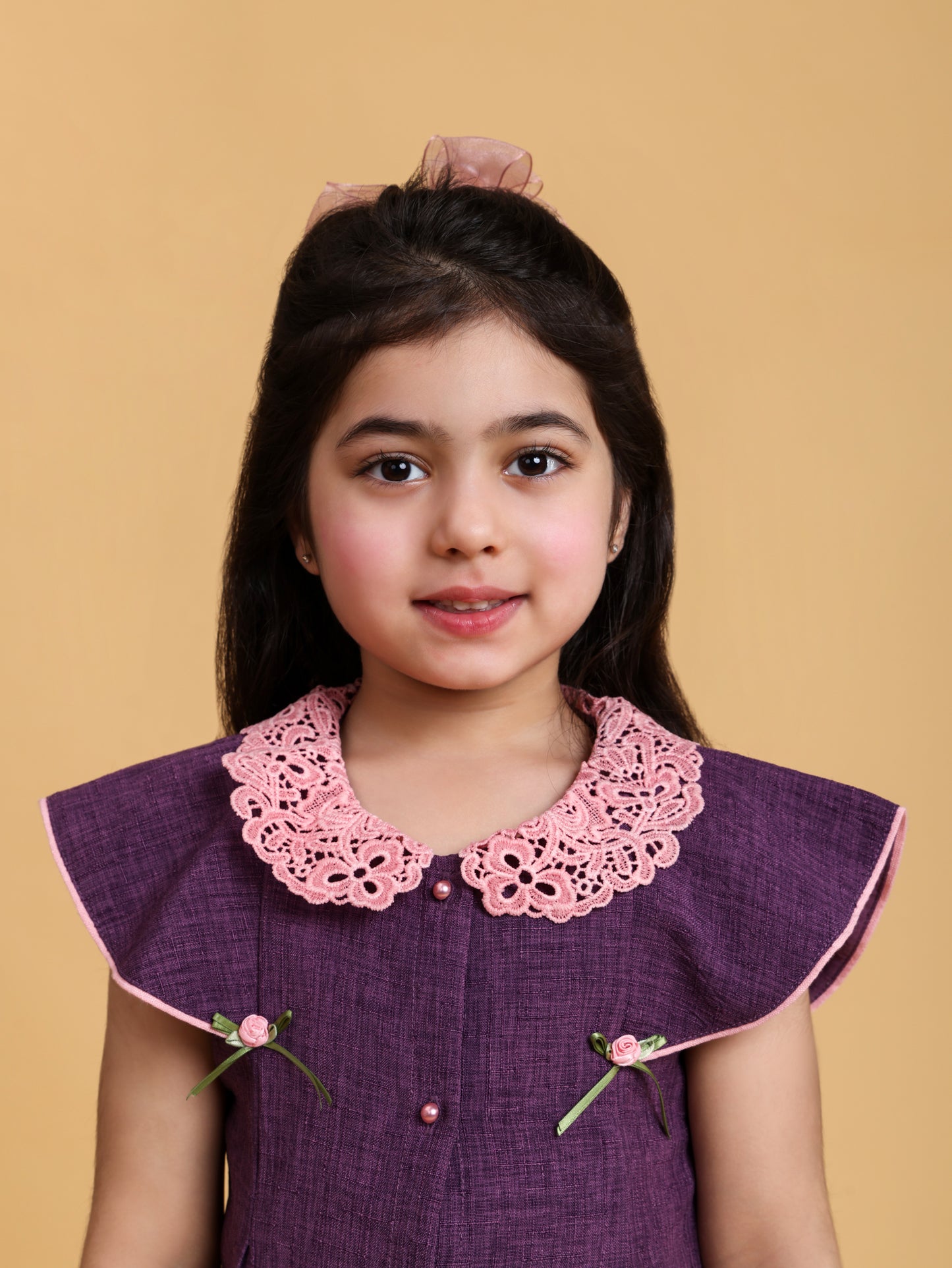 Plum Dress with fancy collar