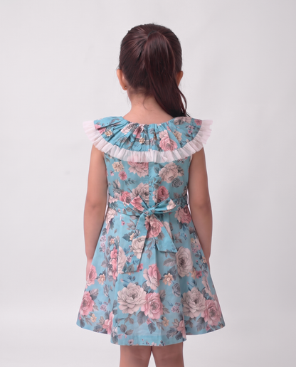 Comfortable blue printed cotton dress (048)