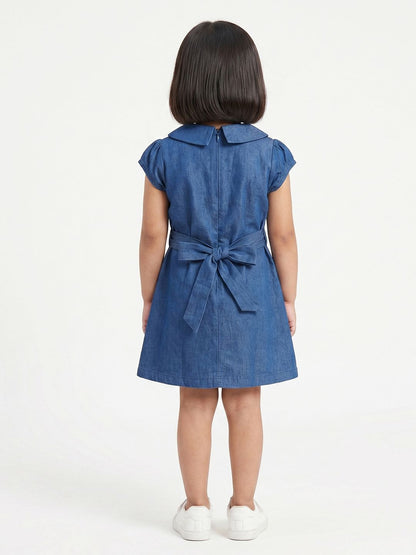 Soft (Dark) cotton denim dress with embroidery